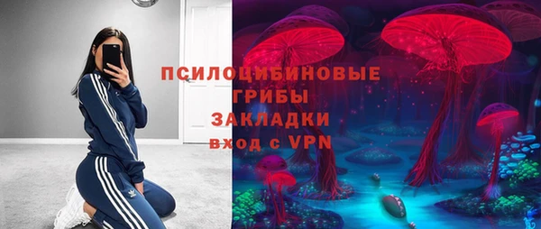 мдпв Богданович