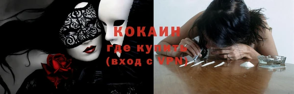 Альфа ПВП Богородицк