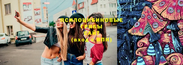 a pvp Богородск