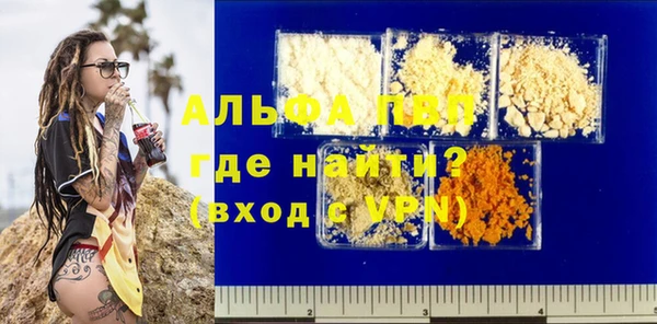 мдпв Богданович