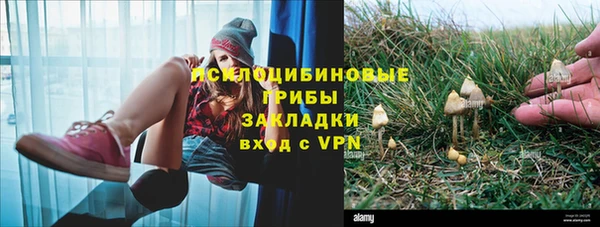 мдпв Богданович